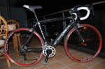 colnago.jpg