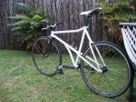 Fixie%20024%20%28Medium%29.jpg