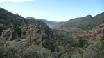 P1010316.jpg