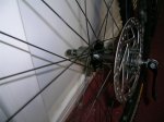 Bontrger Race Lite 002.jpg