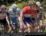 tdf06st02-boogerd[1].jpg
