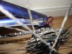 DSC01925.jpg