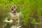 ce08_stg8_06777_gp_20080405_210948_large[1].jpg