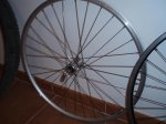 P4150050.jpg