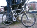 mymerlin008.jpg