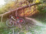 IMAG0042.jpg