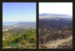 2009-01-28 Puig campana quemado1.jpg