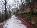 IMG_8192.JPG