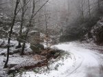 IMG_8226.JPG