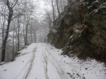 IMG_8232.JPG