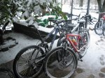IMG_8276.JPG