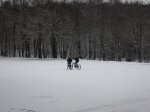 IMG_8291.JPG