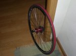 DSCN1592.jpg