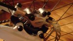 DSC00323.jpg