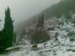 27012009(004).jpg