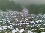 27012009(007).jpg