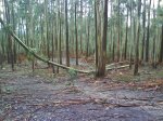 DSC00250.jpg