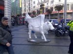 29012009407.jpg