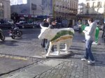 29012009410.jpg