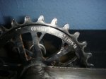 DSC02731.JPG