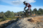 DSC_0037.gif