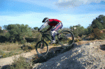 DSC_0038.gif