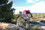 DSC_0042.gif
