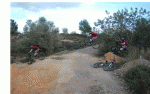 fede-camino.gif