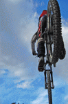 DSC_0096.gif