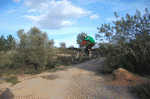 teo-camino.gif