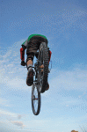 DSC_0102.gif