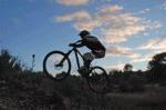 fede-stepup.gif