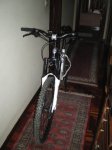 IMGP0046.jpg