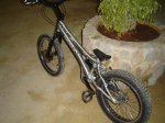 DSC00199.jpg