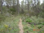 ds_Ruta dels palets 004.jpg