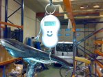 20090130365.jpg