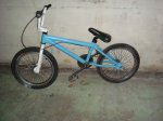 DSC00527.jpg