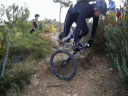 araÃ±uel.gif