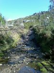 IMAGE_00444.jpg