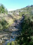 IMAGE_00446.jpg