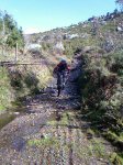IMAGE_00449.jpg