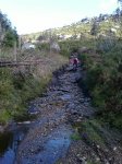 IMAGE_00452.jpg