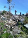 IMAGE_00461.jpg