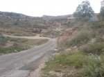 DSC00057.jpg
