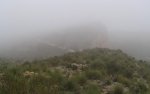 P1317329_resize.jpg