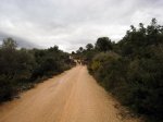 IMG_0017.jpg