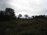 IMG_0023.jpg