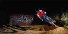 PHO_action_440freeride_1060x530.jpg