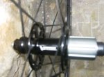 piezak 002.jpg
