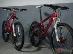 DSC00875.jpg